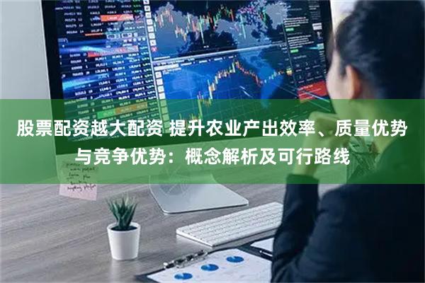 股票配资越大配资 提升农业产出效率、质量优势与竞争优势：概念解析及可行路线